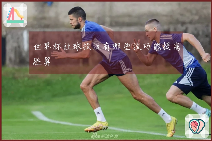 世界杯让球投注有哪些技巧能提高胜算