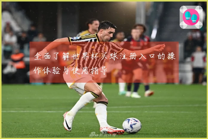 全面了解世界杯买球注册入口的操作体验与使用指导