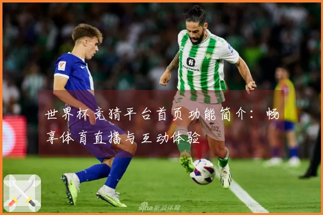 世界杯竞猜平台首页功能简介：畅享体育直播与互动体验