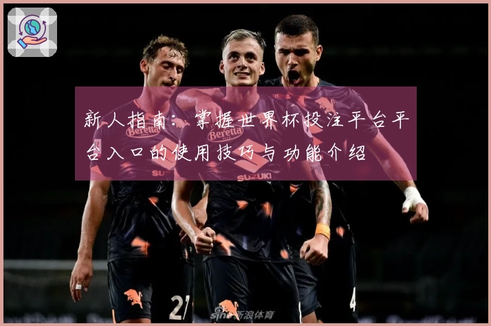 新人指南：掌握世界杯投注平台平台入口的使用技巧与功能介绍
