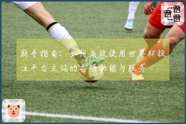 新手指南：如何高效使用世界杯投注平台主站的各项功能与服务