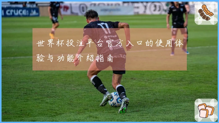 世界杯投注平台官方入口的使用体验与功能介绍指南