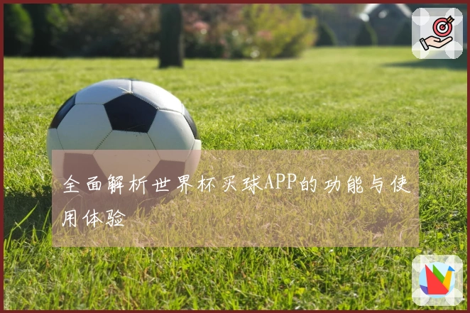 全面解析世界杯买球APP的功能与使用体验