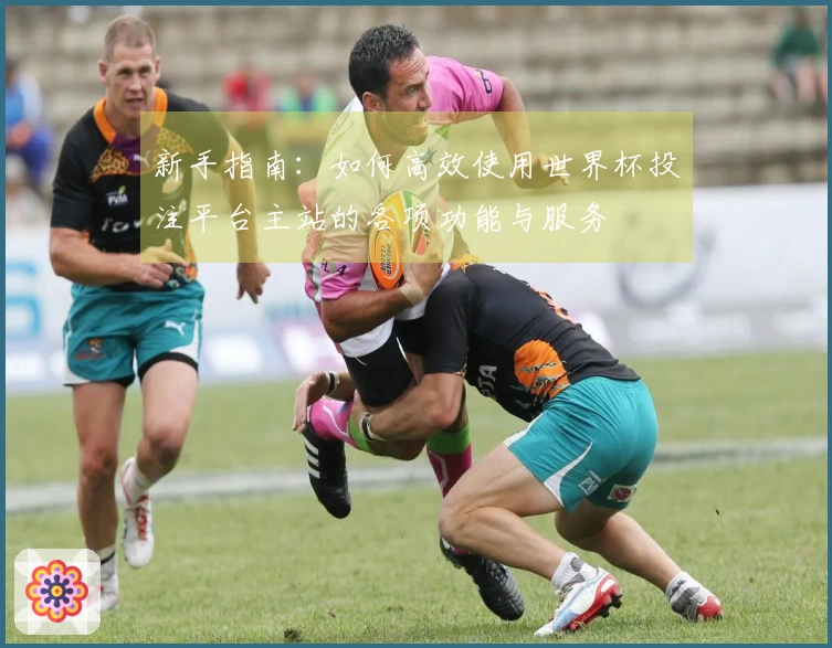新手指南：如何高效使用世界杯投注平台主站的各项功能与服务