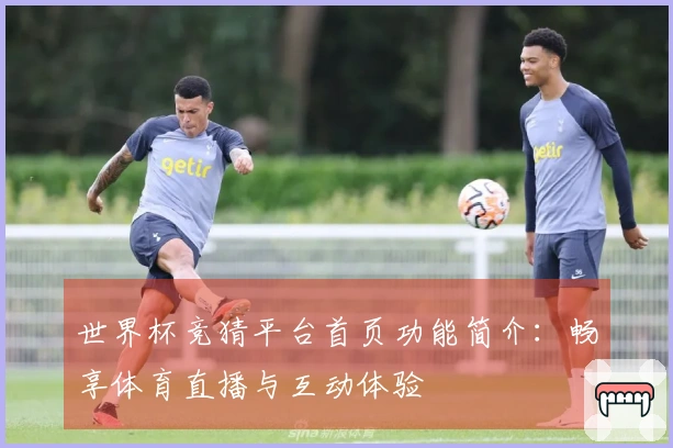 世界杯竞猜平台首页功能简介：畅享体育直播与互动体验