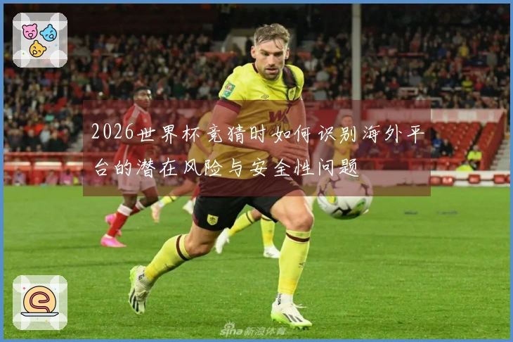 2026世界杯竞猜时如何识别海外平台的潜在风险与安全性问题