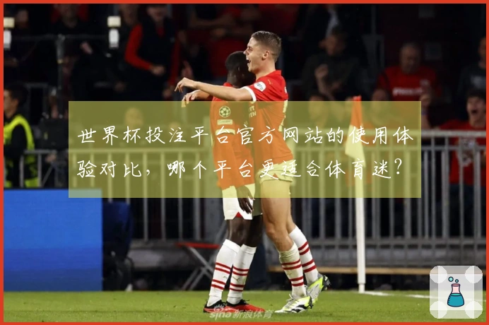 世界杯投注平台官方网站的使用体验对比，哪个平台更适合体育迷？