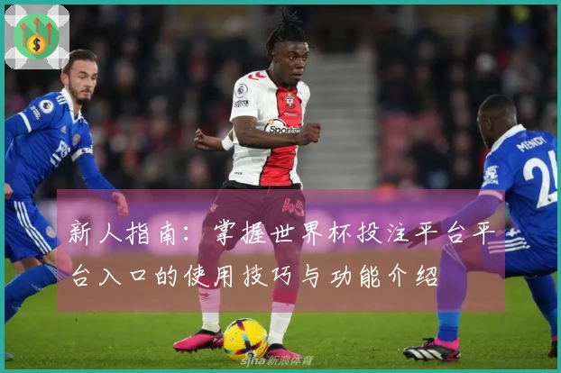新人指南：掌握世界杯投注平台平台入口的使用技巧与功能介绍