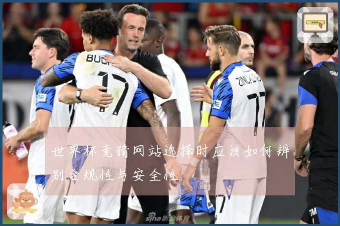 世界杯竞猜网站选择时应该如何辨别合规性与安全性