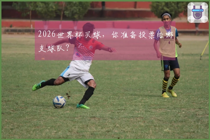 2026世界杯买球，你准备投票给哪支球队？