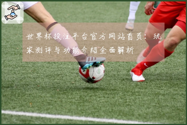世界杯投注平台官方网站首页：玩家测评与功能介绍全面解析