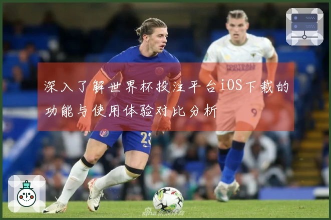 深入了解世界杯投注平台iOS下载的功能与使用体验对比分析
