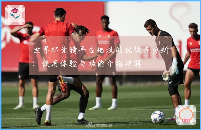 世界杯竞猜平台地址的优缺点分析：使用体验与功能介绍详解